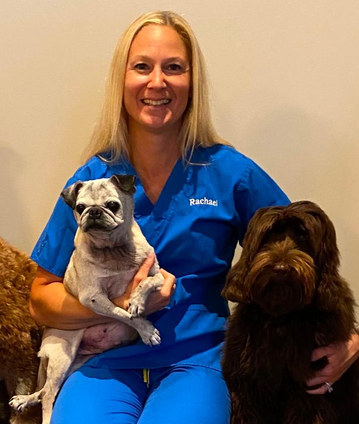 Baldwin NY Veterinarians Experienced Veterinarians in Baldwin